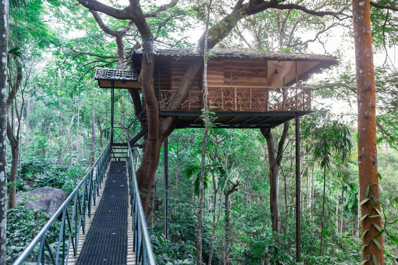 Tranquil Resort - Blusalzz Collection, Wayanad - Kerala Ambalavayal Exterior foto
